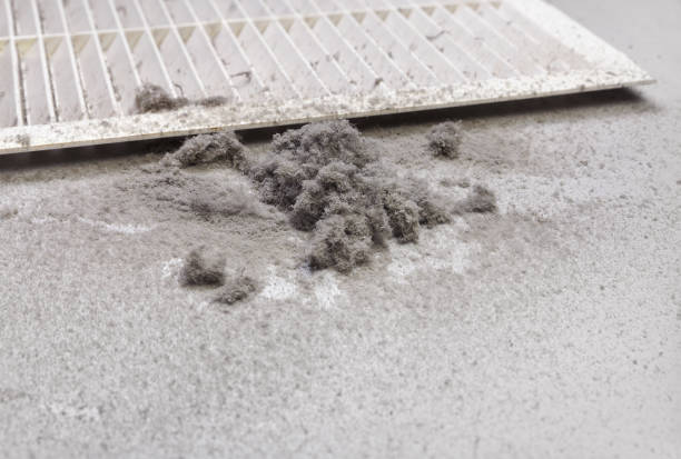 Best Residential Air Duct Cleaning  in Colfax, WI