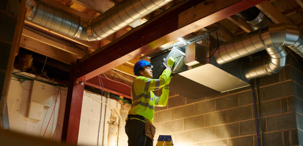 Best Air Duct Mold Removal  in Colfax, WI