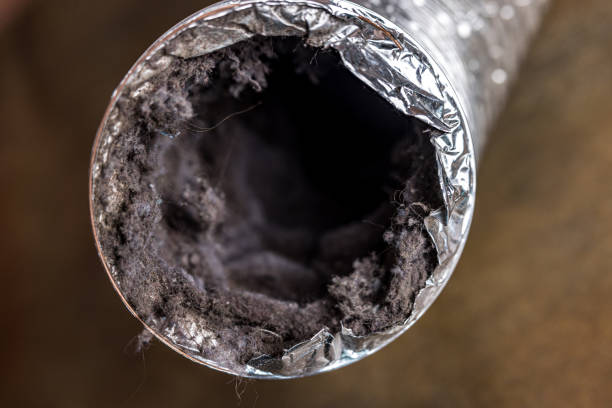 Best Affordable HVAC Duct Cleaning  in Colfax, WI