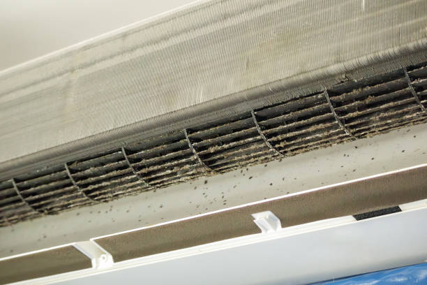 Best Best Air Duct Cleaning Near Me  in Colfax, WI